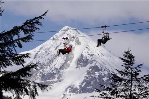 ZipTrek Whistler