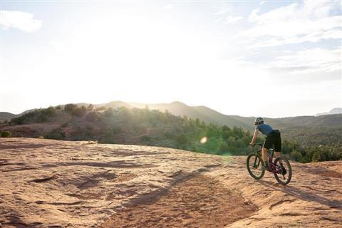 Trail & Mountain Biking