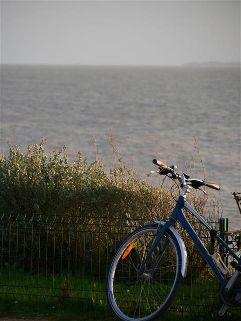 Cape Cod Rail Trail Bike Excursion