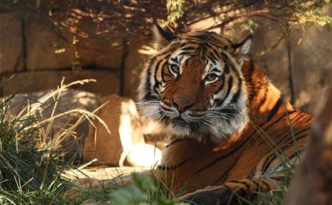 Zoológico Charles Paddock