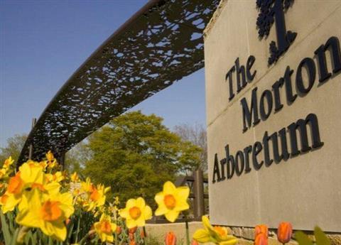 Morton Arboretum