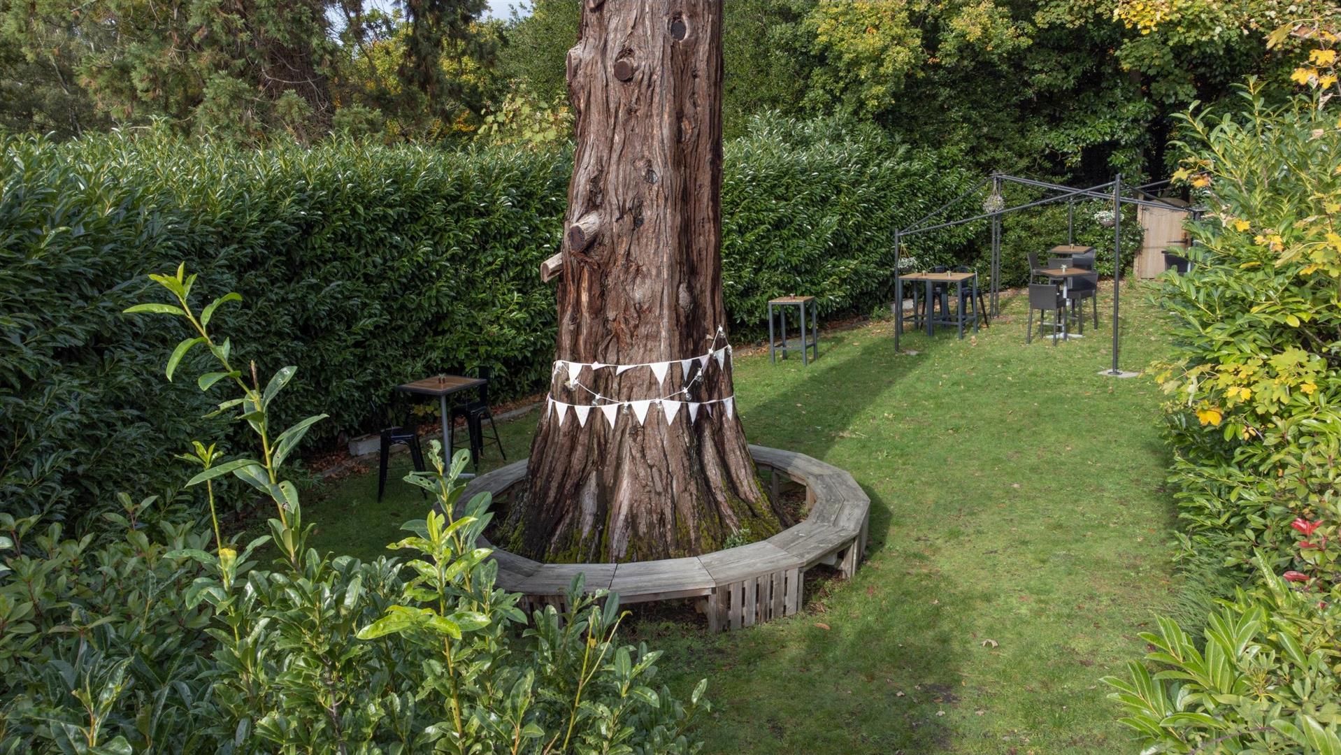 Изображение места проведения