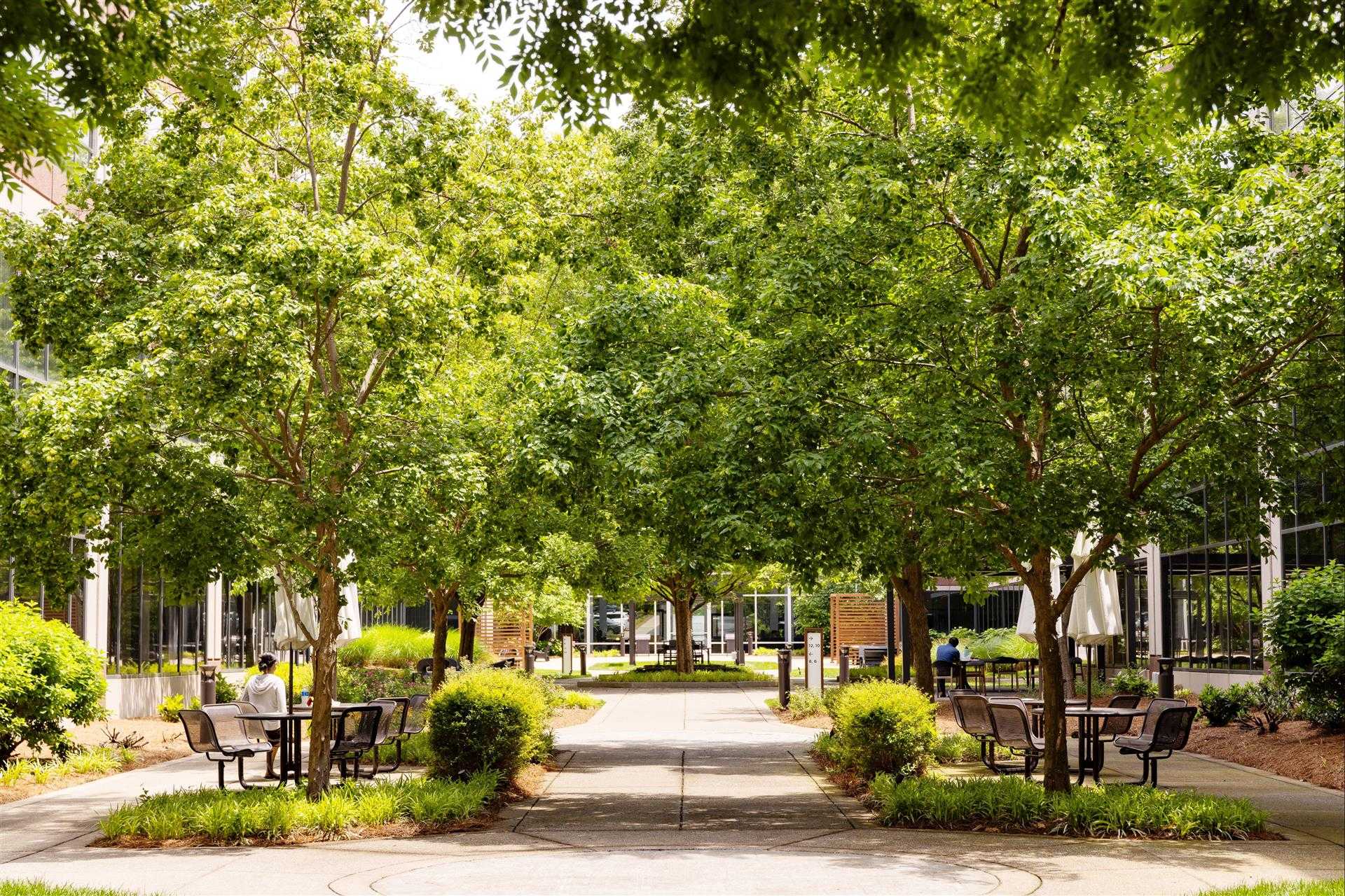 Serendipity Labs Nashville - Brentwood в Brentwood, TN