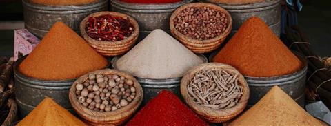 Shopping in the Souks