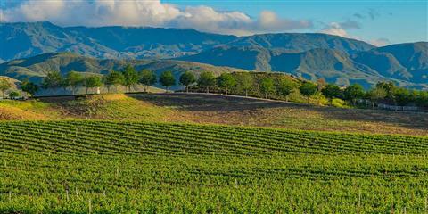 Temecula Valley Wine Country