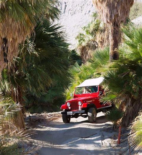 Red Jeep Tours