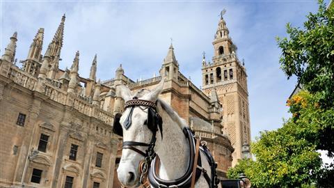 大教堂和吉拉尔达