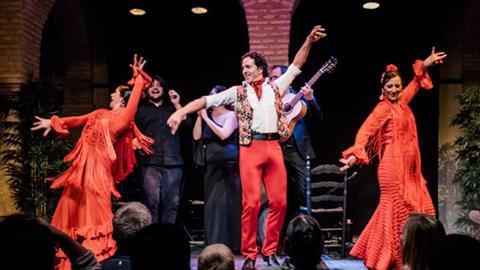 弗拉门戈博物馆