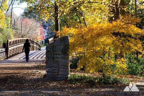 Chastain Park Amphitheater
