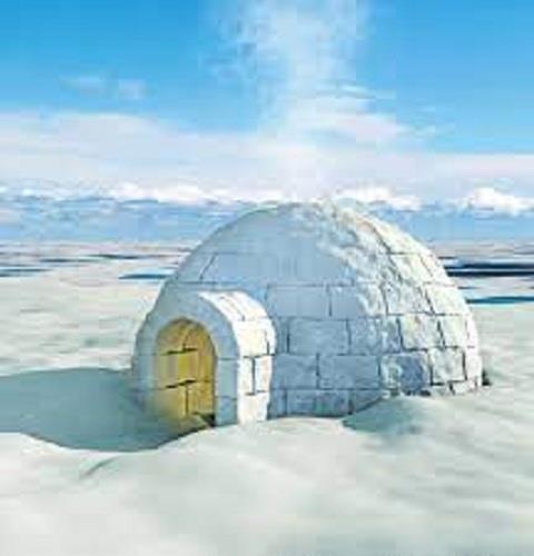 Igloo