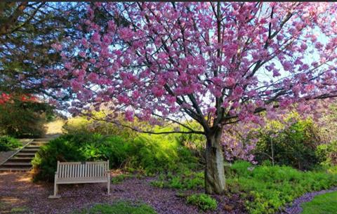South Coast Botanic Gardens
