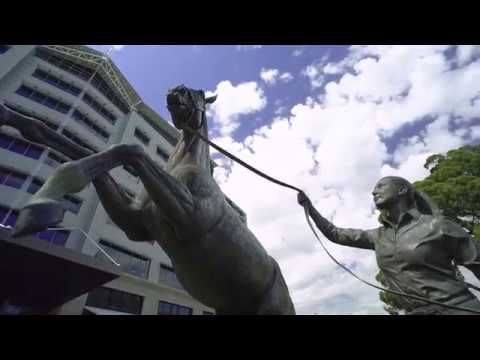 Изображение места проведения