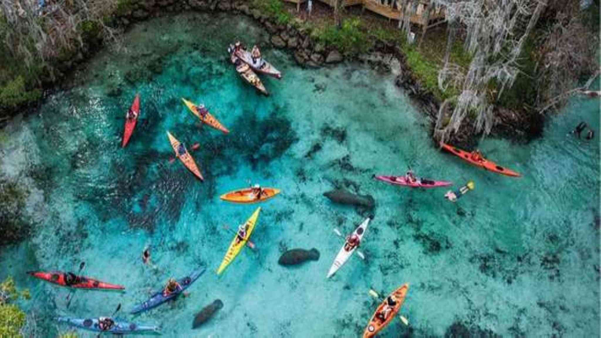 Holiday Inn Express Hotel & Suites Inverness в Леканто, FL