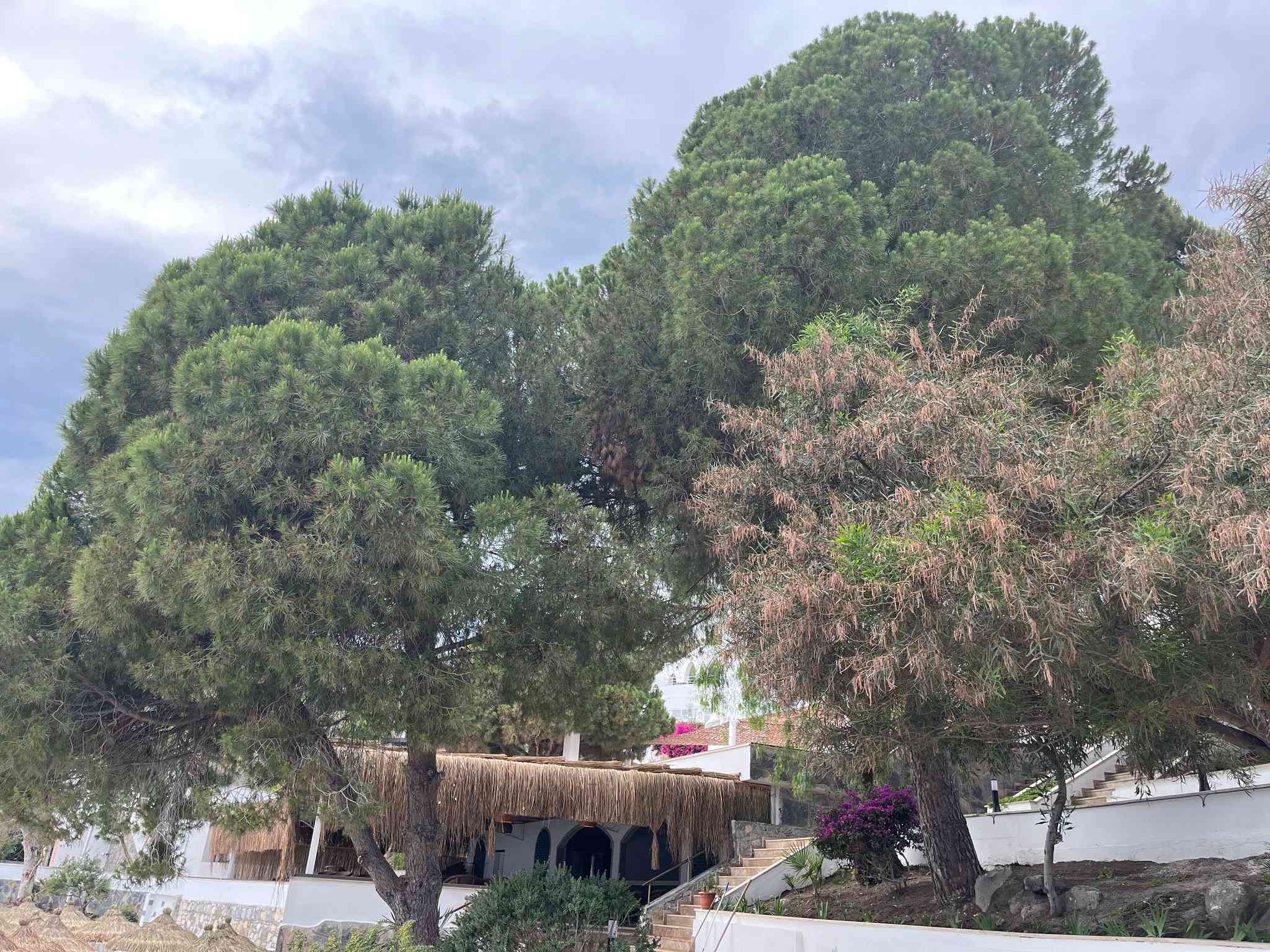 Holiday Inn Resort Bodrum in มุกลา, TR