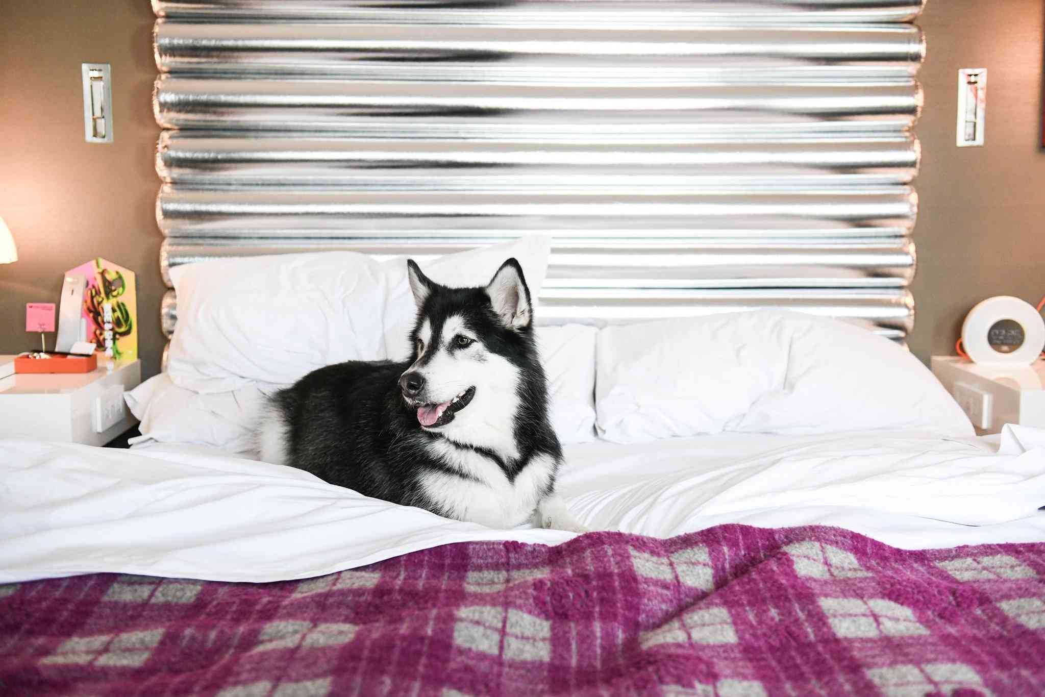 W Bellevue en Bellevue, WA